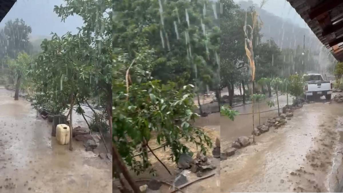 lluvias en la sierra del municipio de sinaloa