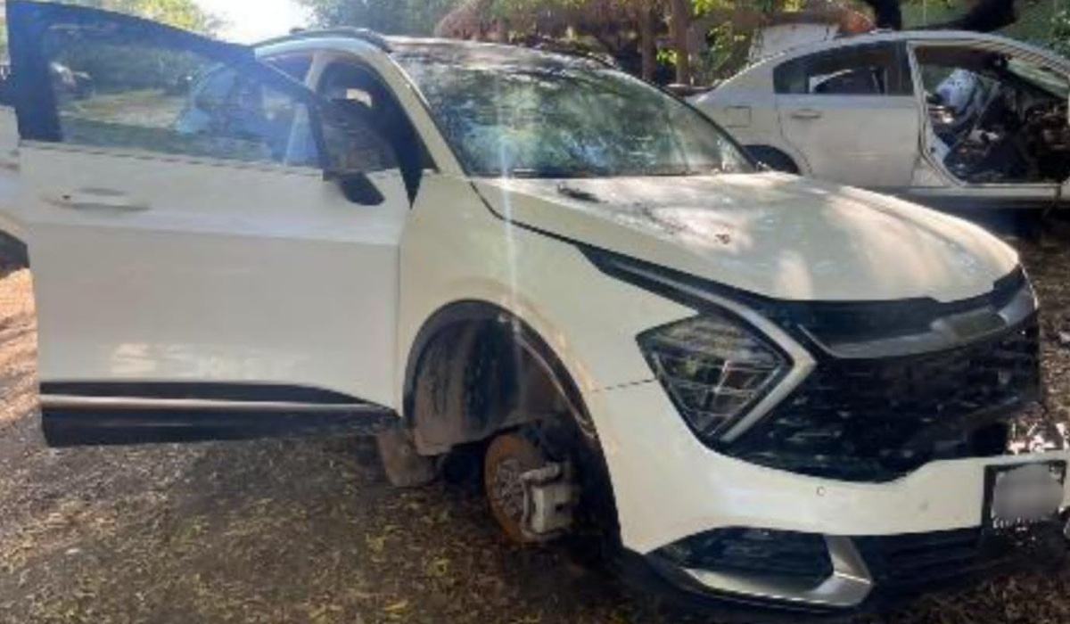 Localizan desahuesadero de vehículos con reporte de robo en Navolatillo, Eldorado