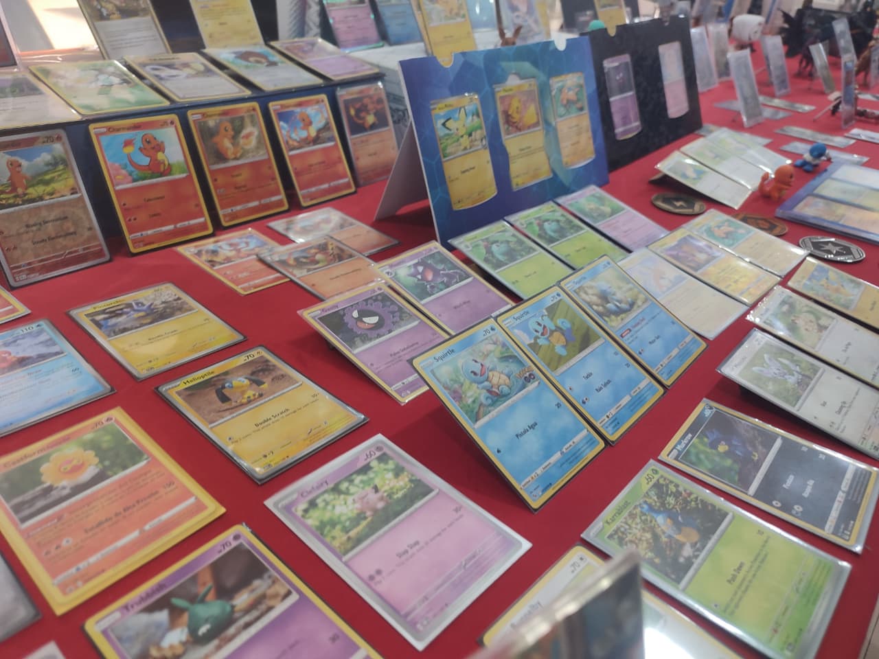 MazColeccionistas exponen en Mazatlán
