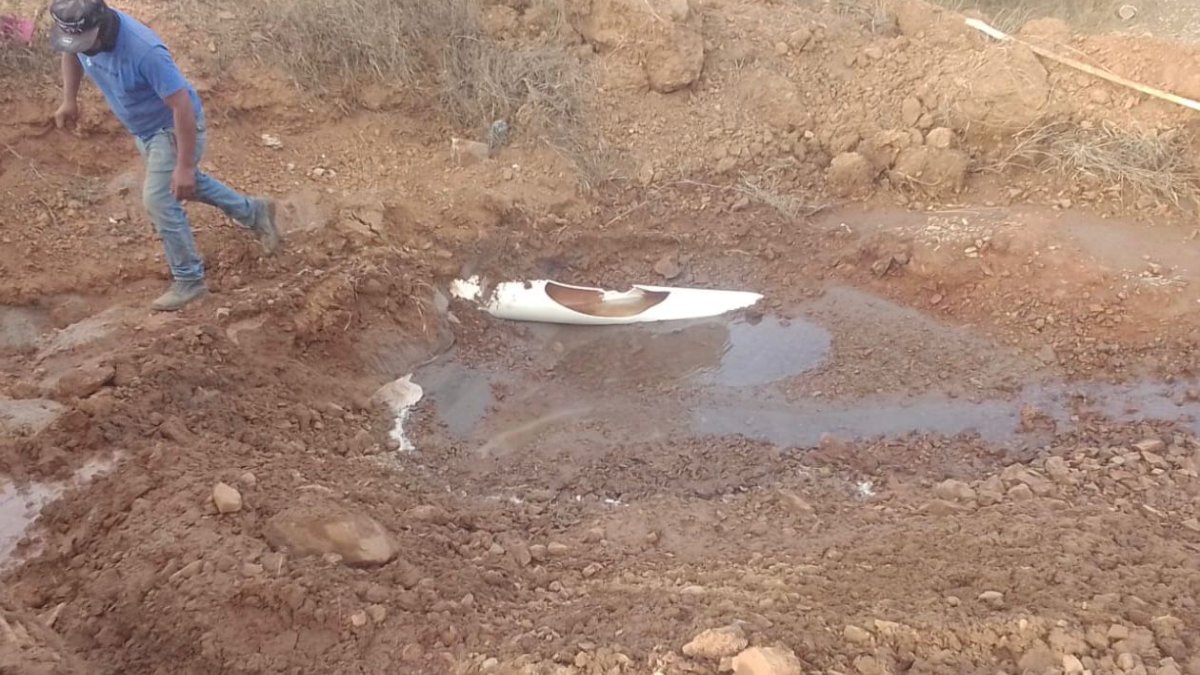 megafuga sorprende a vecinos de hacienda del seminario en mazatlan sin