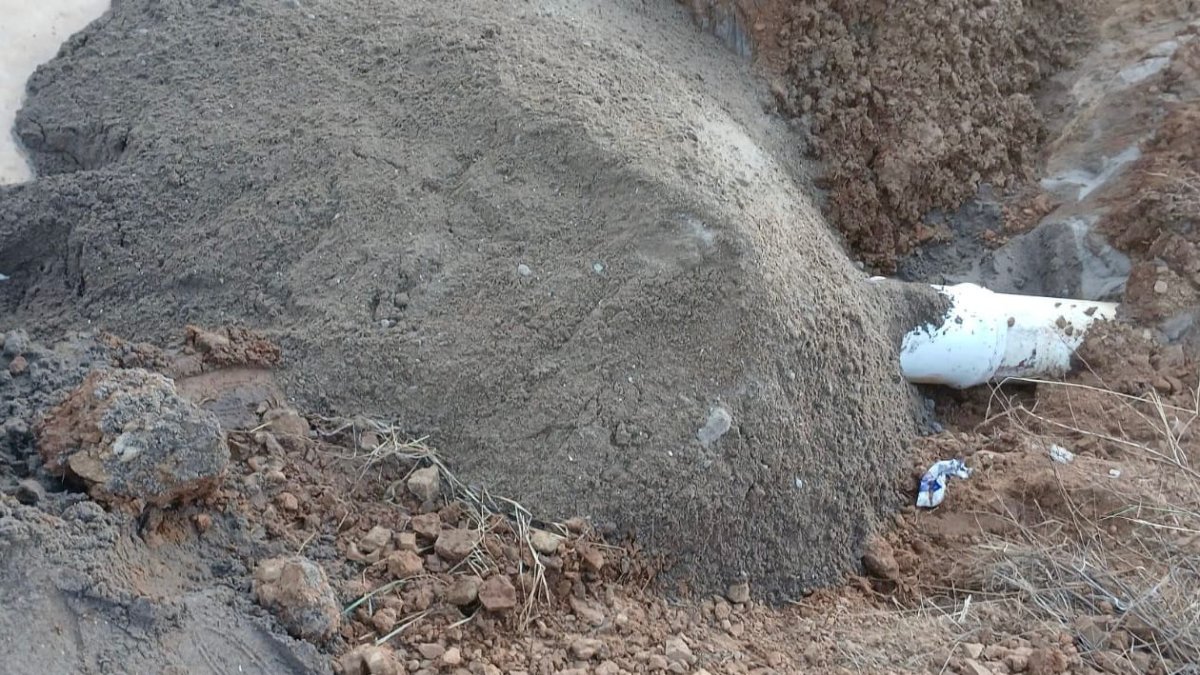 megafuga sorprende a vecinos de hacienda del seminario en mazatlan sinaloa