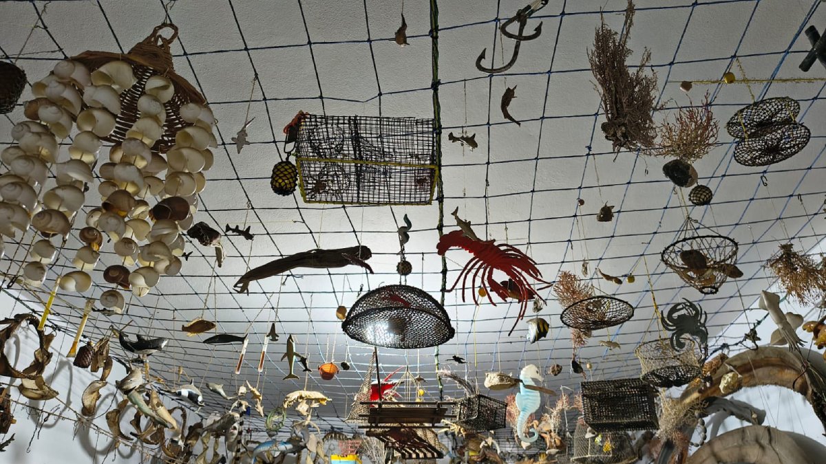 museo del pescador abre sus puertas a visitantes en mazatlan