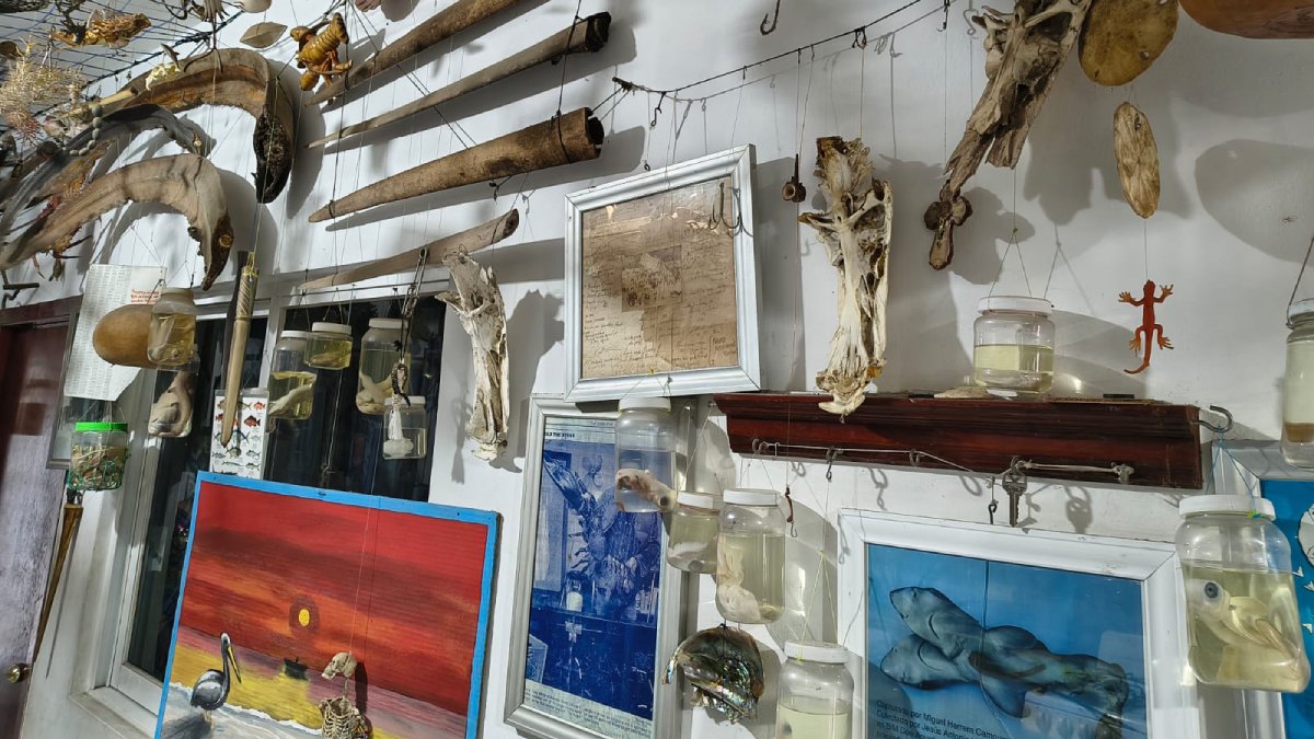 museo del pescador abre sus puertas en mazatlan sin