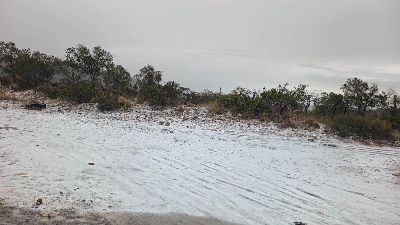 neva en la sierra de durango