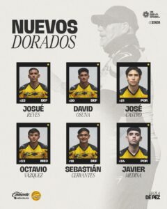 Nuevos elementos de Dorados de Sinaloa