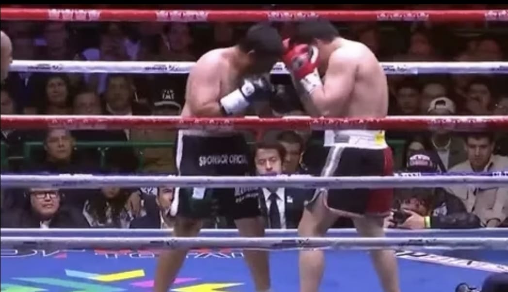 Pelea de Box de los Chavéz