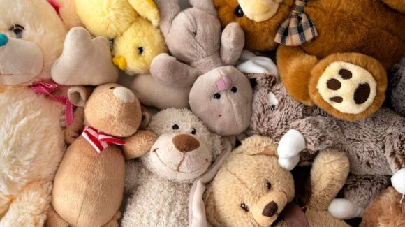 Si tu ex ya no importa… ¡que su peluche sí! CRIT Sinaloa lanza campaña solidaria pre–San Valentín en Mazatlán