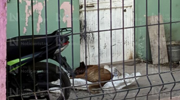 Un perrito sin vida, tres casas baleadas y un carro con impactos deja balacera en Villa Juárez, Navolato