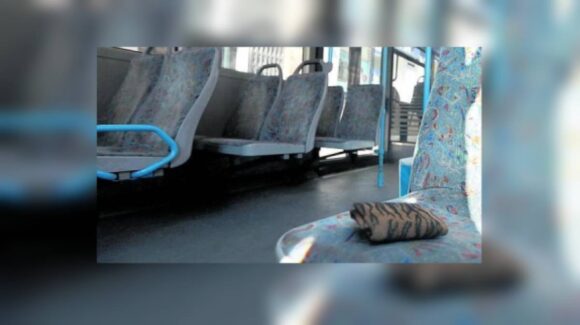 ¿Olvidaste algo en el camión? Alianza de Camiones de Mazatlán cuenta con programa de recuperación de objetos