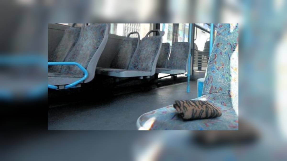 pertenencias olvidadas en el transporte urbano