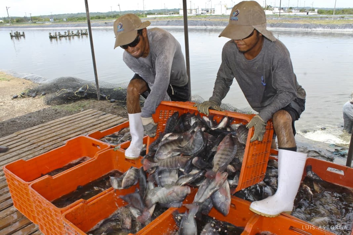 Pescadores