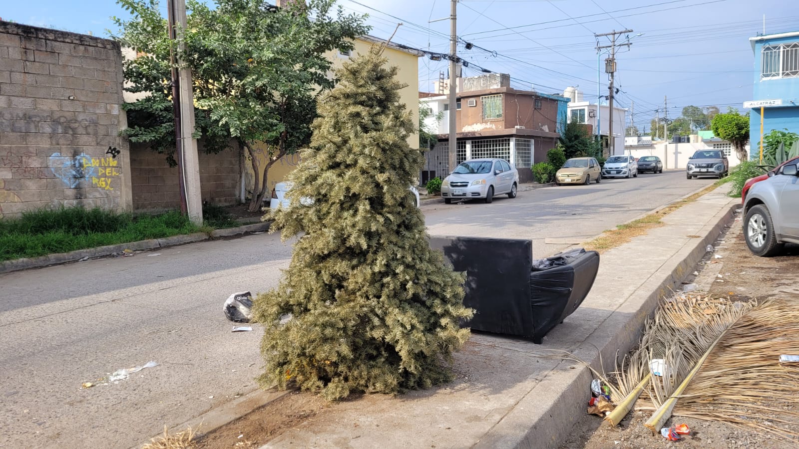 Pino natural navideño en la calle