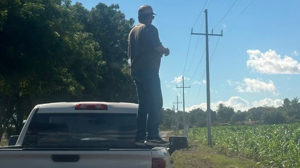 predio agricola cañado por fuerte viento en guasave sinaloa