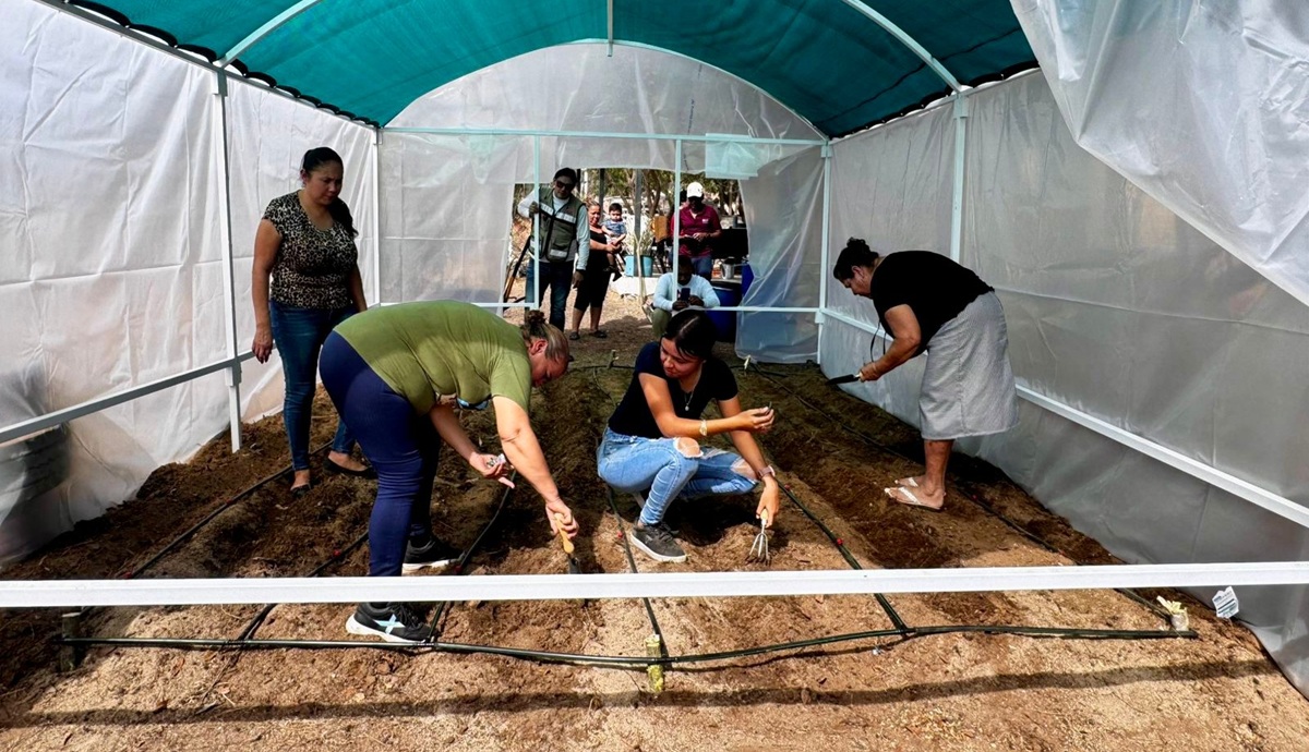 Implementan proyecto Hortícola Comunitario en zona rural de Mazatlán