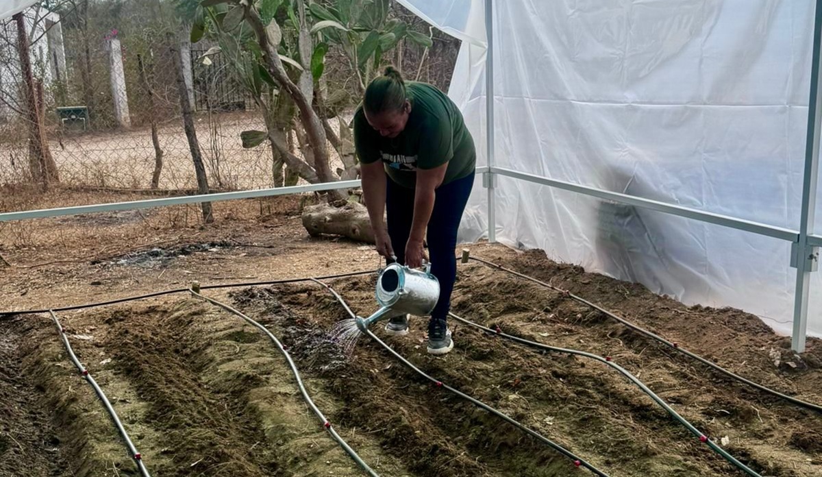 Implementan proyecto Hortícola Comunitario en zona rural de Mazatlán