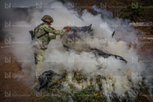 Más de media tonelada de Cola de Borrego incinera Ejército Mexicano en Badiraguato