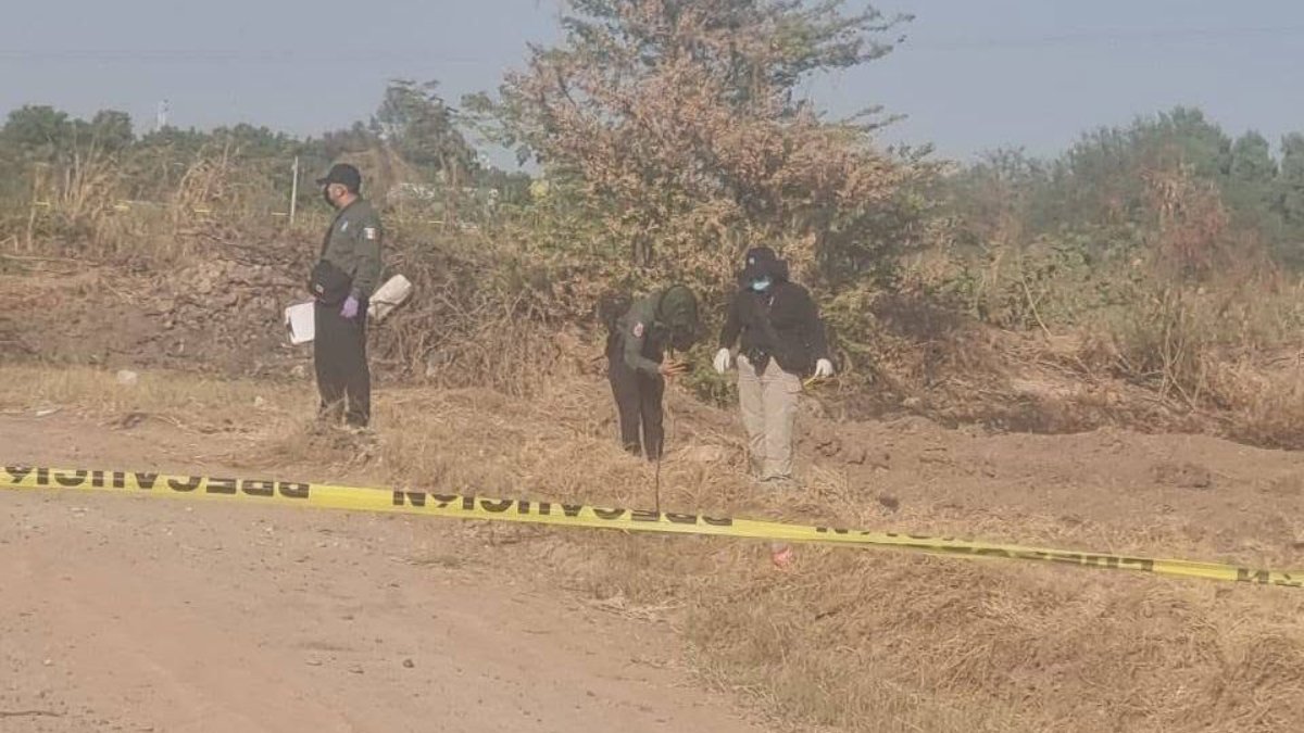 rastreadoras de guasave en busca de restos humanos