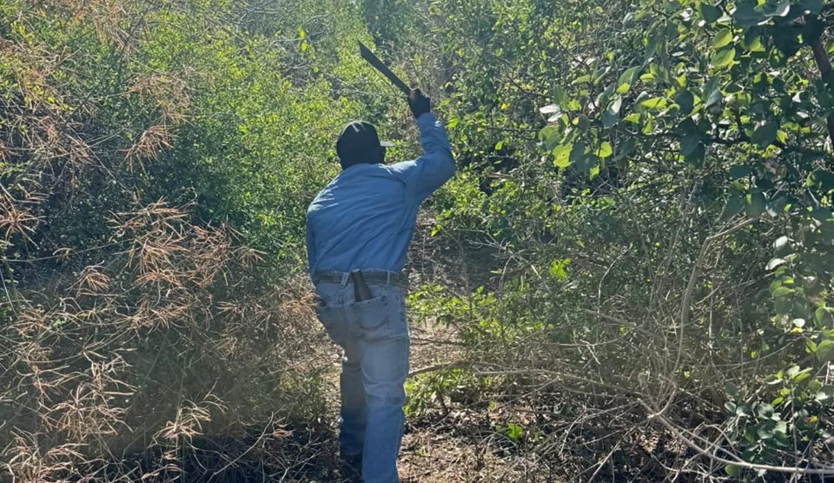 Colectivo de búsqueda en Mazatlán localiza restos humanos
