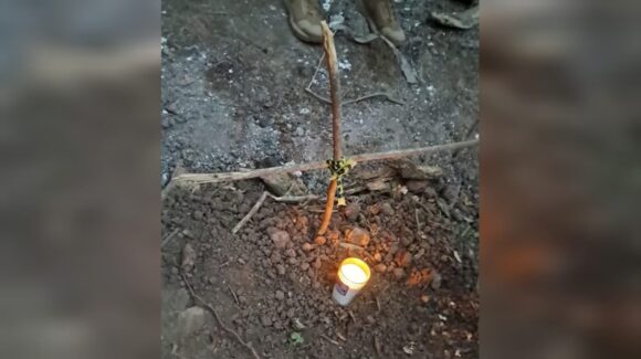 Hallan osamenta durante jornada de búsqueda en Mazatlán, Sinaloa