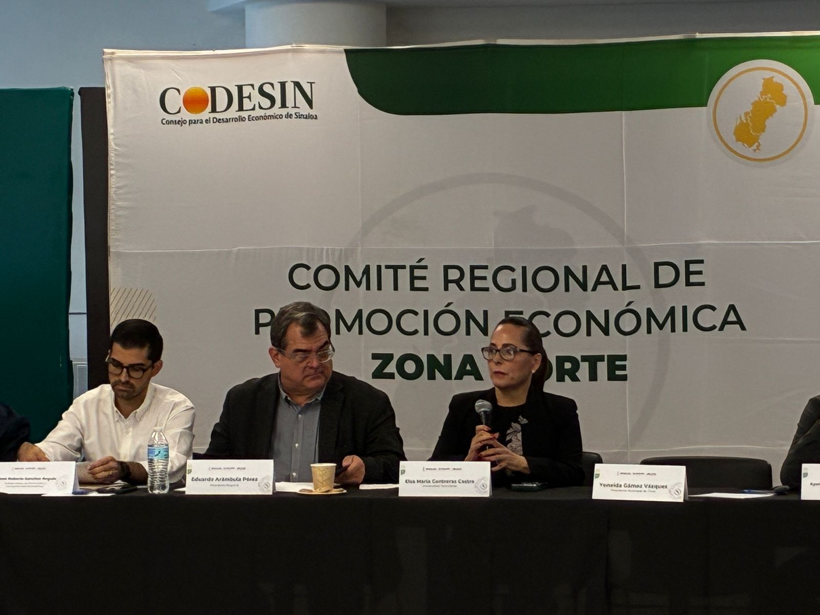 Reunión del Codesin Zona norte