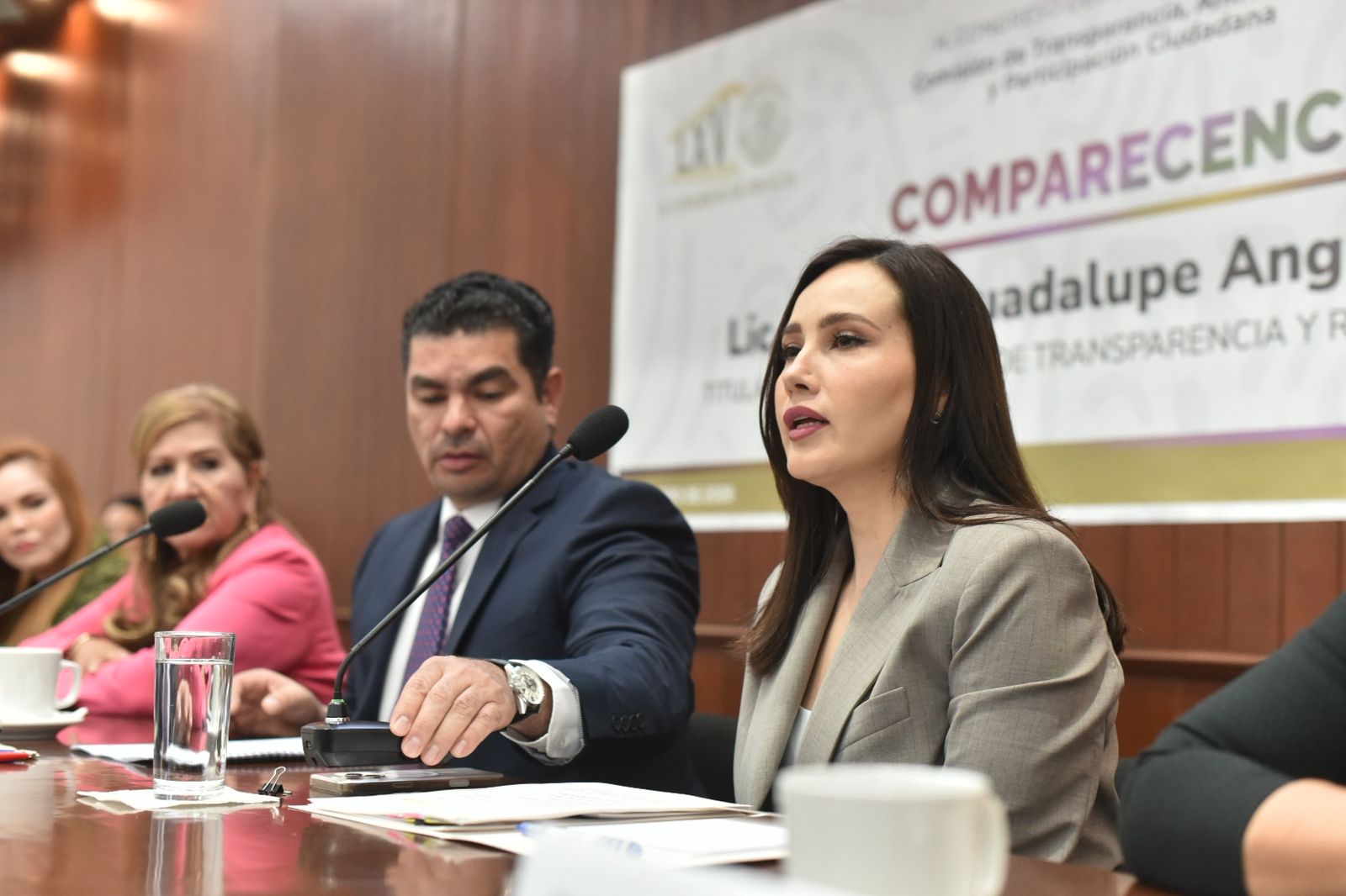 Guadalupe Angulo comparece ante el Congreso de Sinaloa