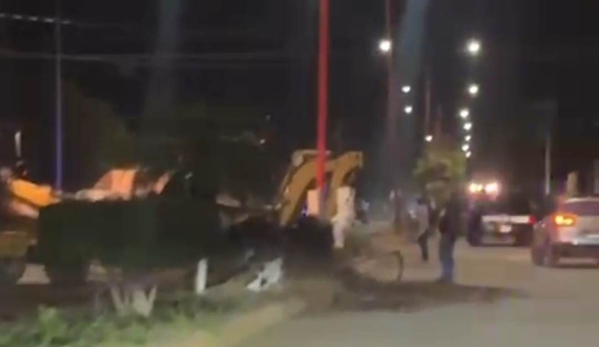Sigue tala de árboles en Angostura