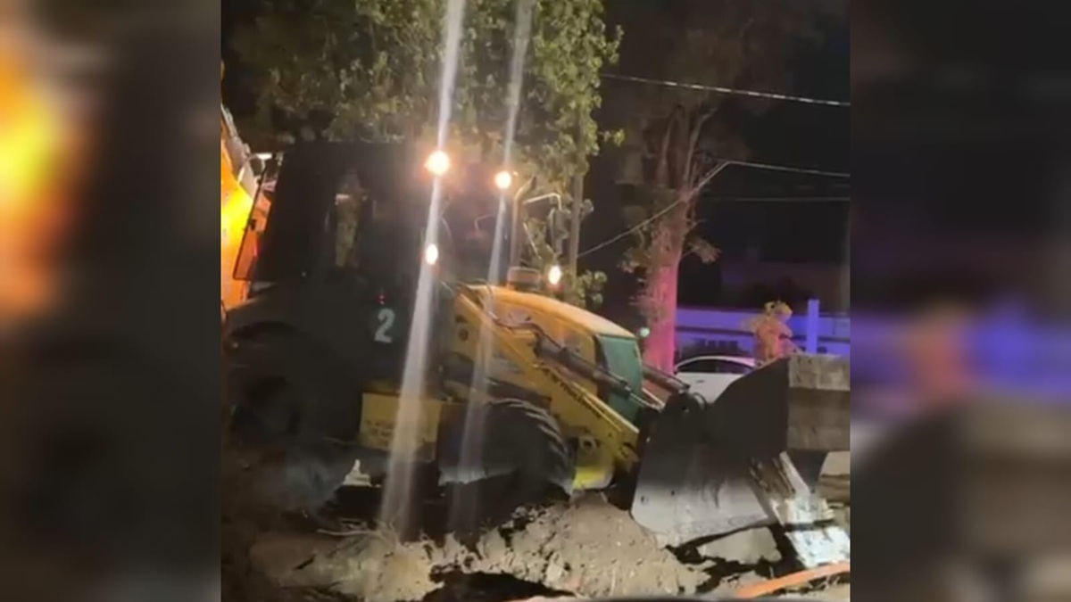 Sigue tala de árboles en Angostura