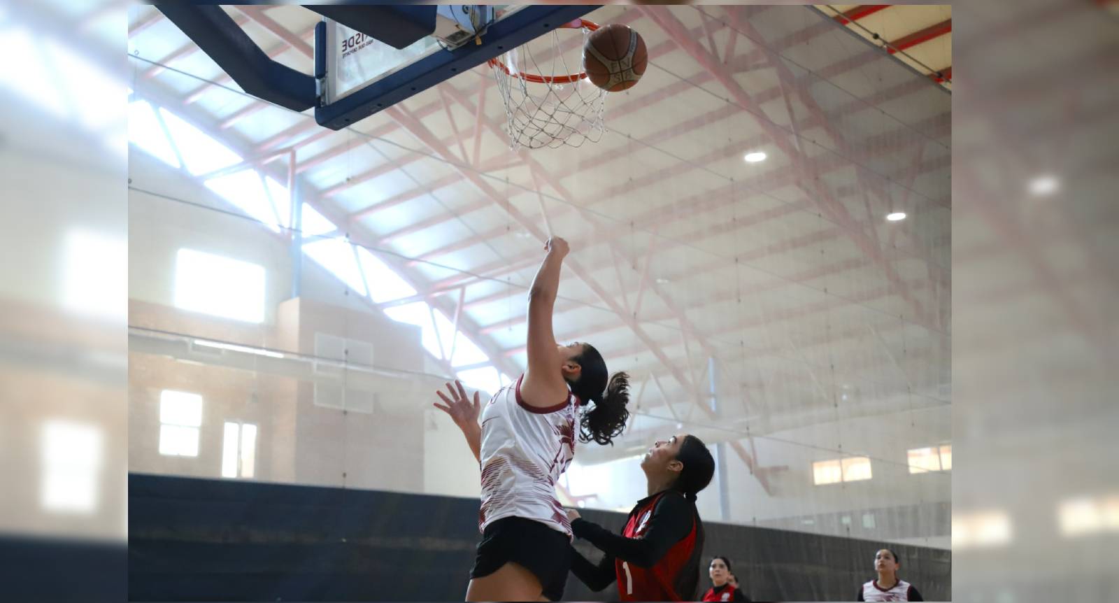 sinaloa se prepara rumbo a la olimpiada nacional