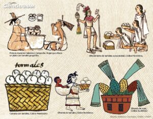Tamales en tiempos prehispánicos