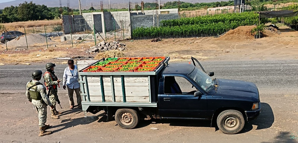 Autoridades revisan transporte de limones en Michoacán