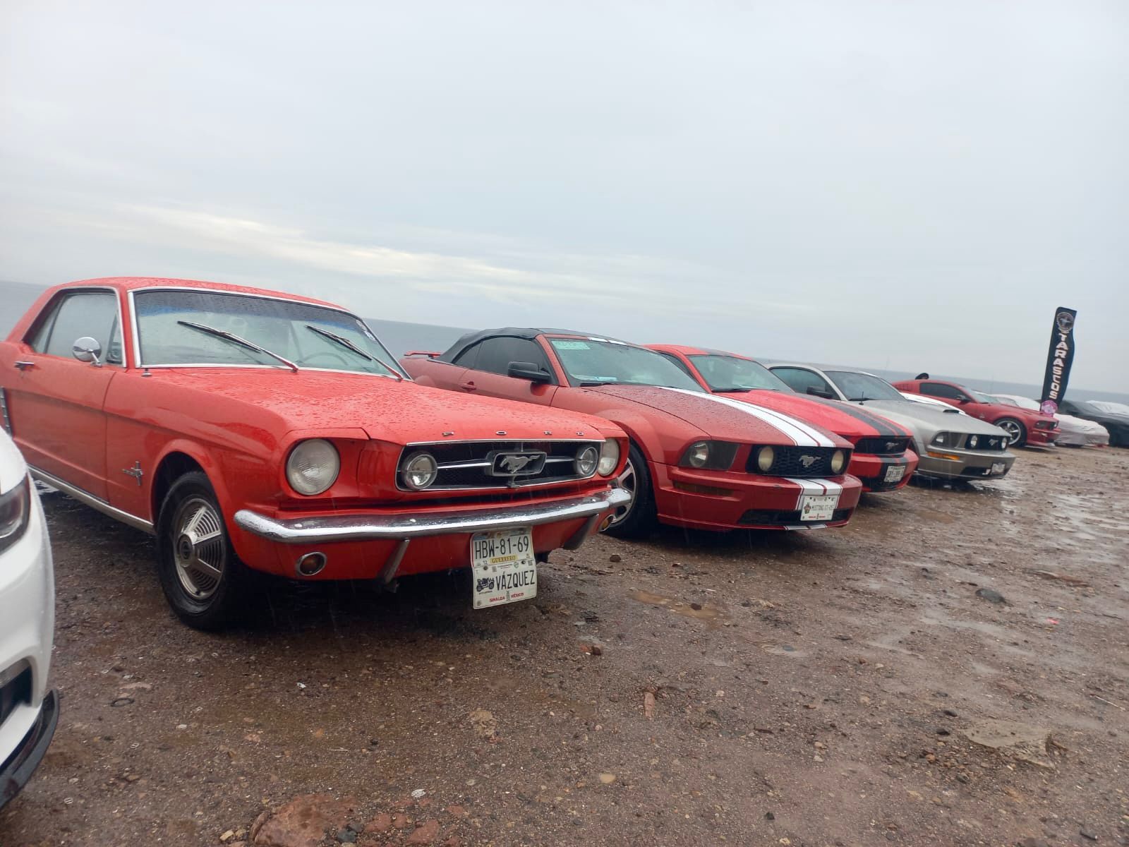 Celebran concentración de vehículos Mustang en Mazatlán