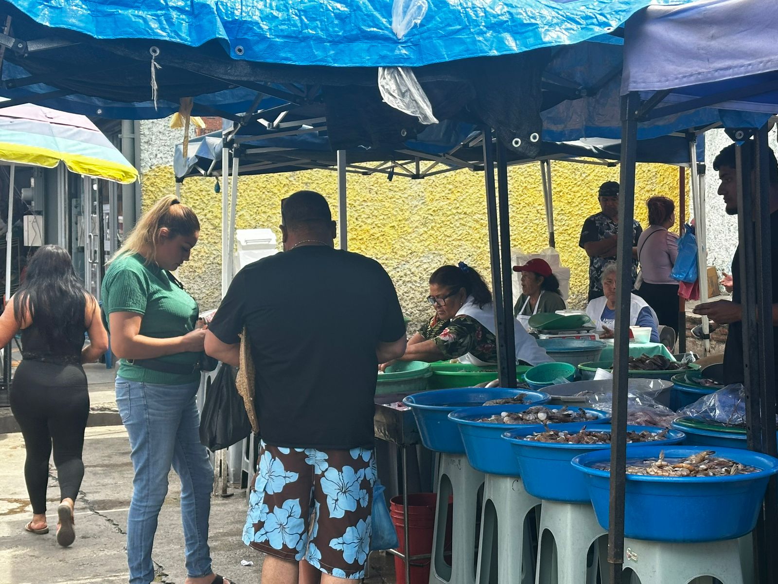 venta de mariscos en mazatlan