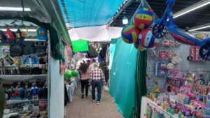 verbena navideña de guamuchil sinaloa ventas