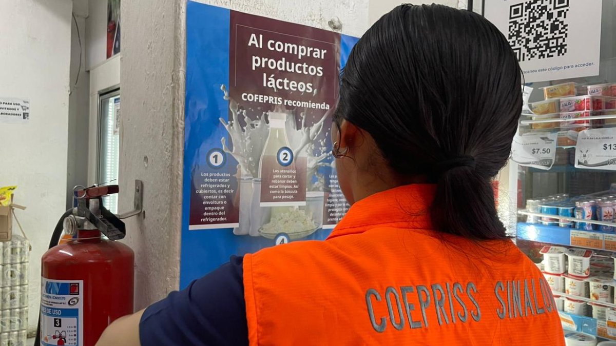 verificadora de coepriss