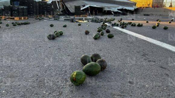 ¡Hay rapiña! Vuelca tráiler cargado de aguacate en la México 15 a la salida de Los Mochis, Sinaloa