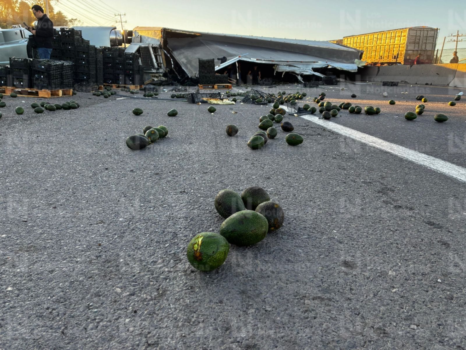 La población aprovechó el accidente para hacerse de aguacates (2)