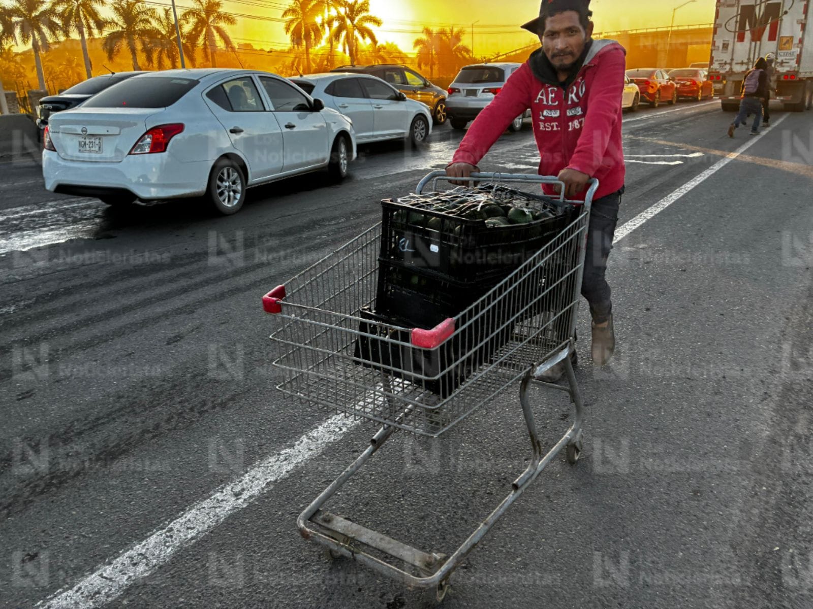 La población aprovechó el accidente para hacerse de aguacates