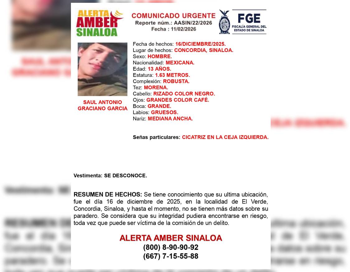 Las autoridades temen por la integridad del menor de edad