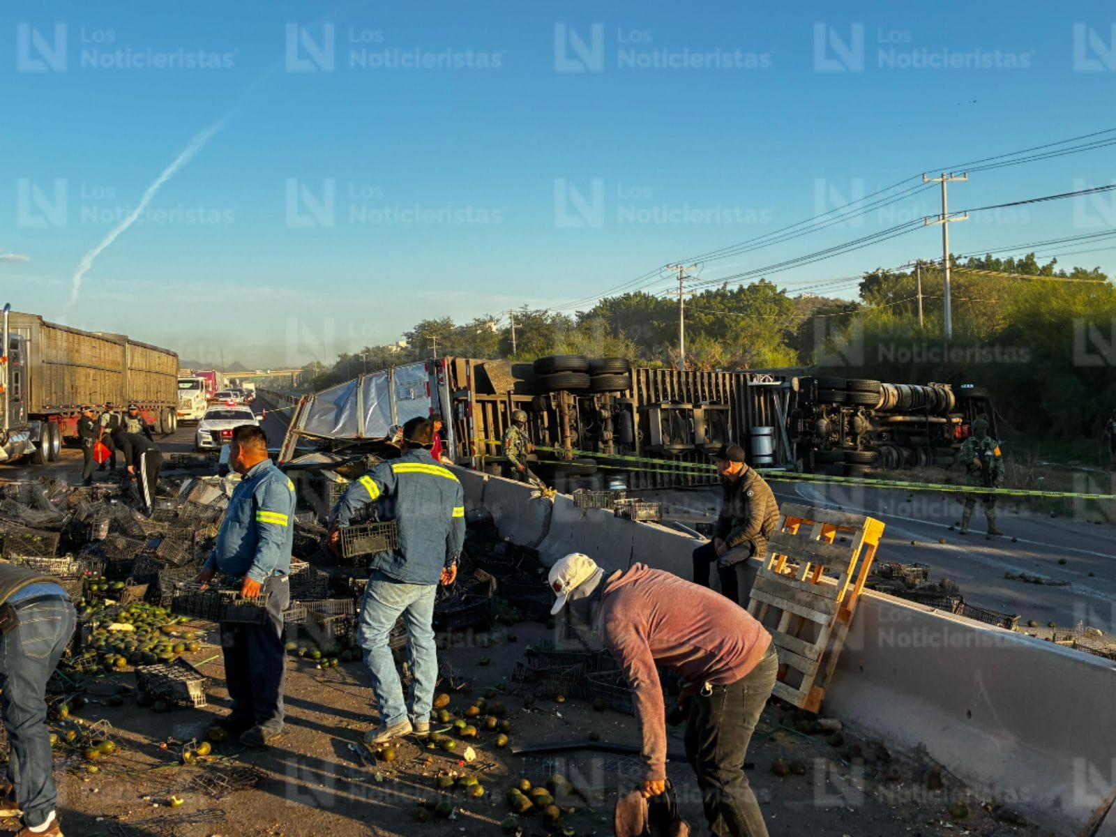 Los pobladore aprovecharon el accidente para hacerse de aguacates