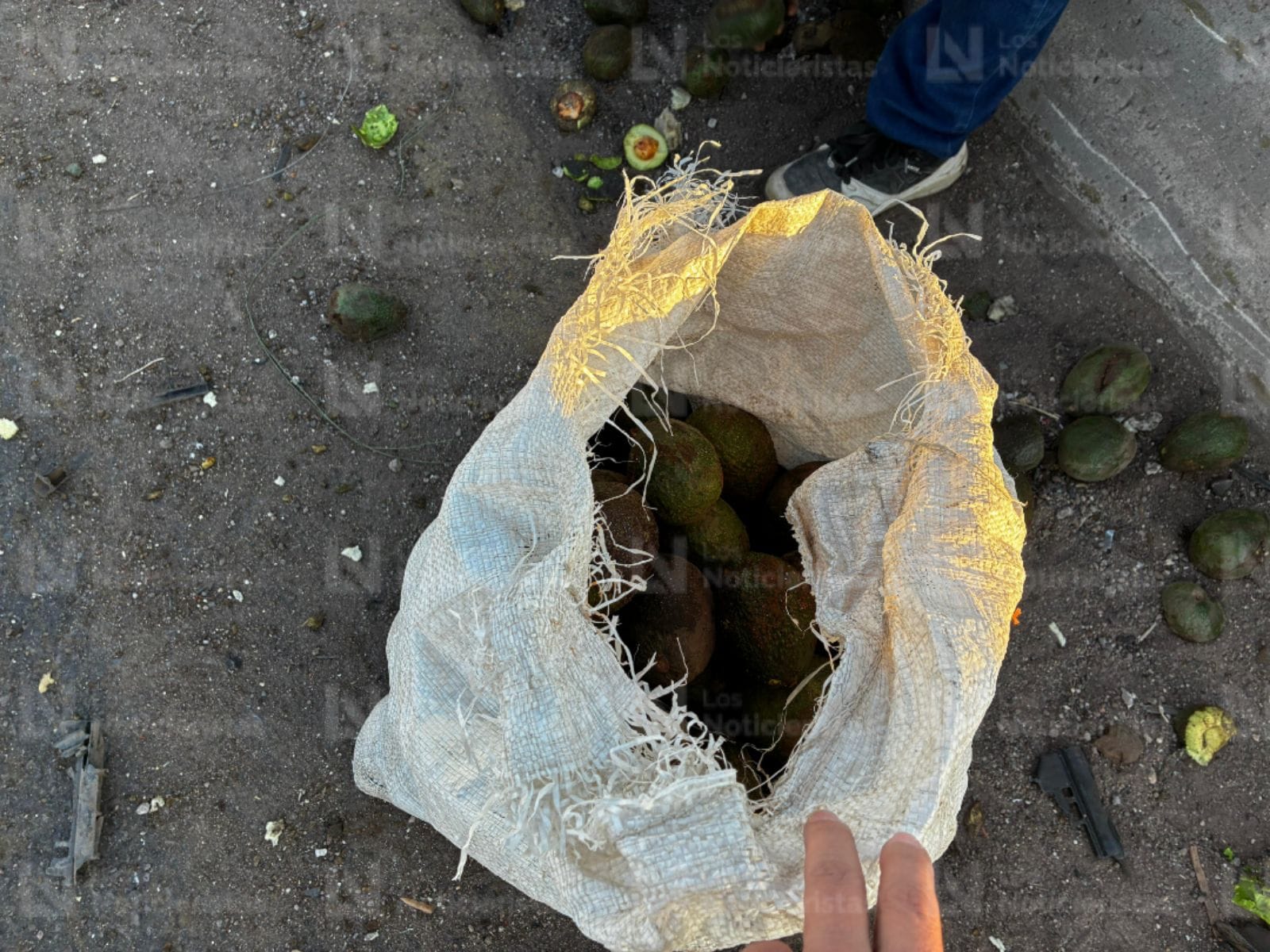 Los pobladore aprovecharon el accidente para hacerse de aguacates