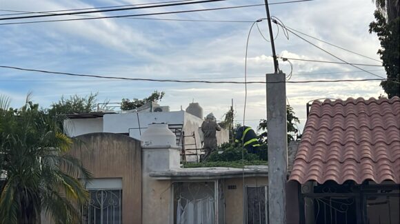 Madre e hija resultan lesionadas por ataque de abejas en Los Mochis, Sinaloa