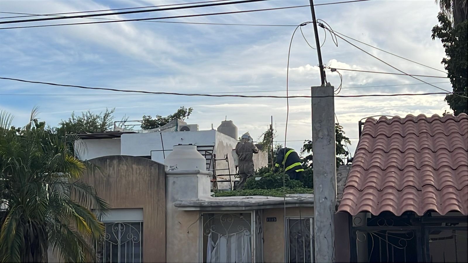 Abejas atacan a madre e hija en su domicilio en Los Mochis, Sin.