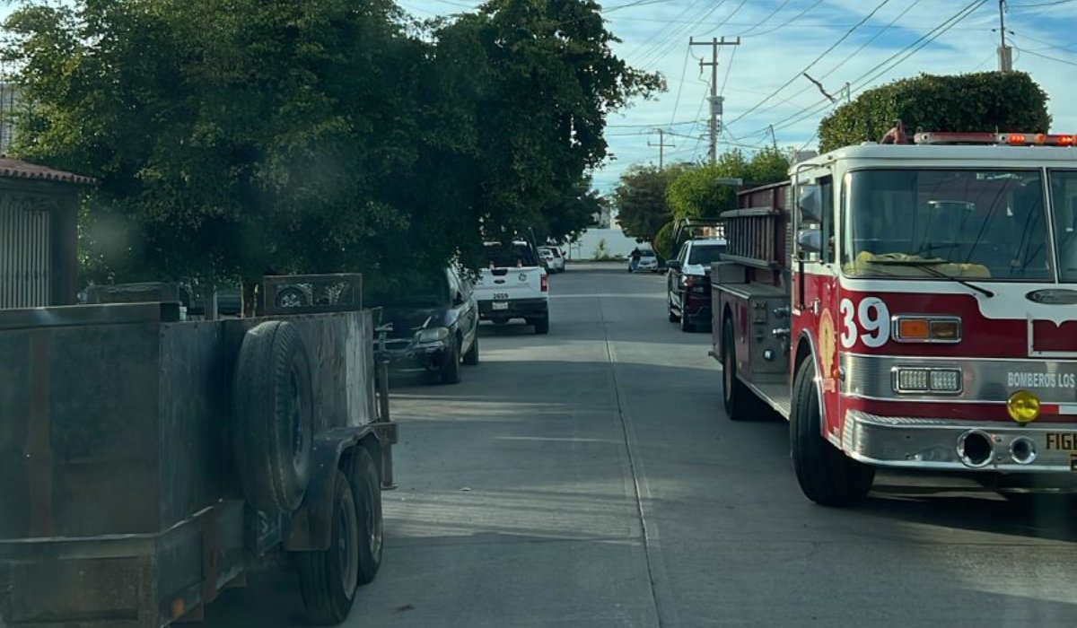 Abejas atacan a madre e hija en su domicilio en Los Mochis, Sin.