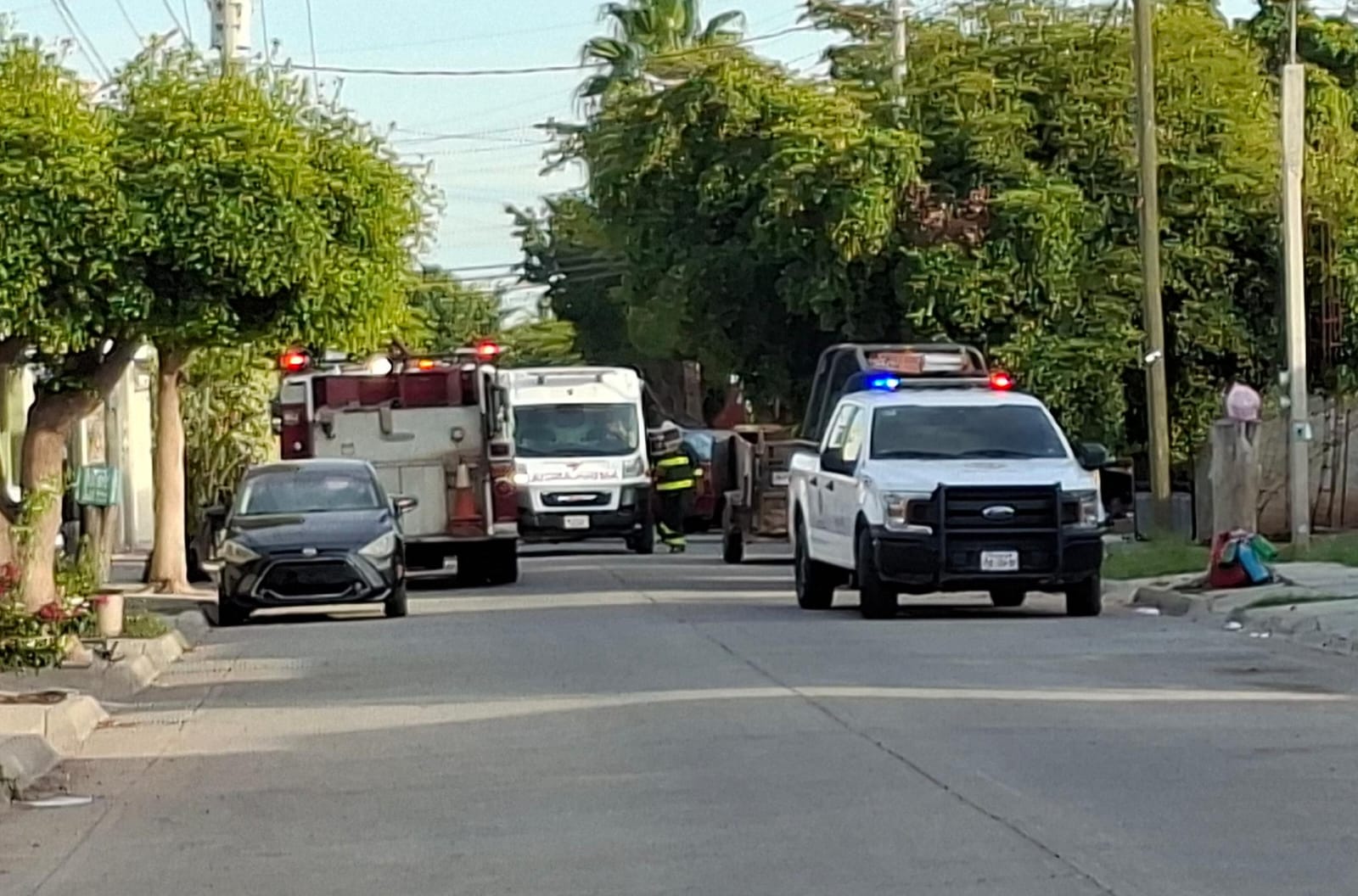 Abejas atacan a madre e hija en su domicilio en Los Mochis, Sin.