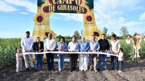 Aperturan tercer campo de girasoles en Mocorito, Sinaloa, previo al Carnaval; el recurso beneficiará los servicios públicos