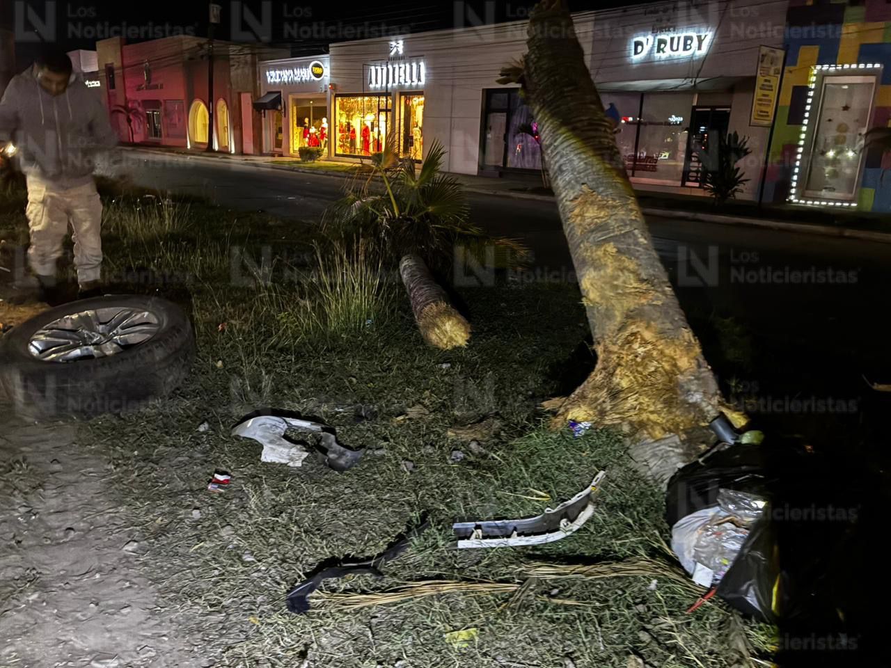 Palmera impactada en accidente