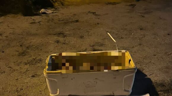 Localizan otra hielera con restos humanos en carretera La Cruz-Potrerillo del Norote, en Elota, Sinaloa