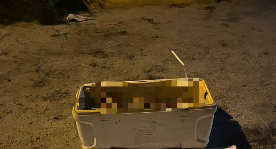 aparece otra hielera con restos humanos en elota