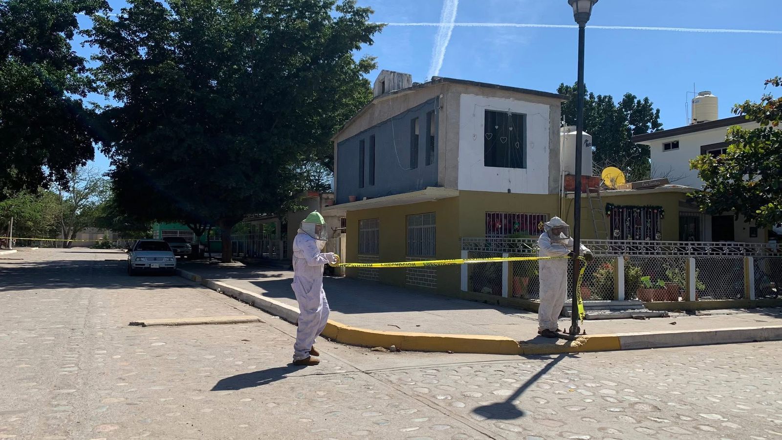 Ataque de abejas en Piaxtla de Abajo, San Ignacio, deja seis lesionados