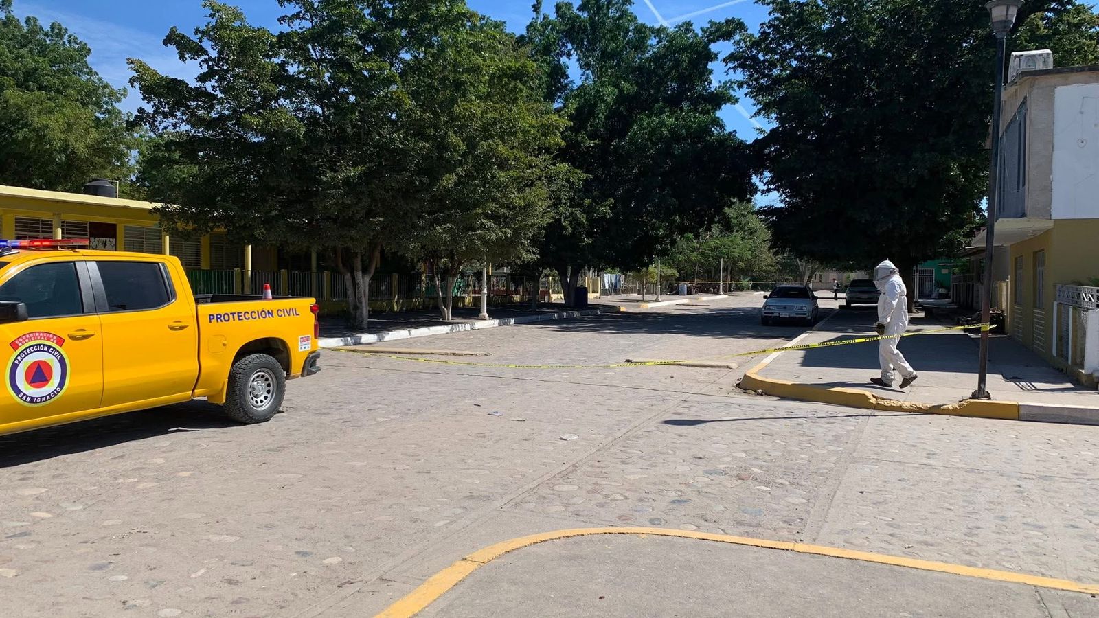 Ataque de abejas en Piaxtla de Abajo, San Ignacio, deja seis lesionados